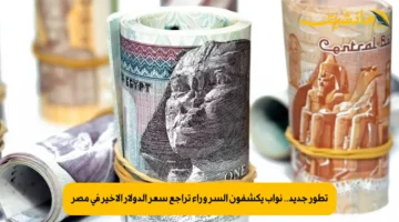 تطور جديد.. نواب يكشفون السر وراء تراجع سعر الدولار الأخير في مصر